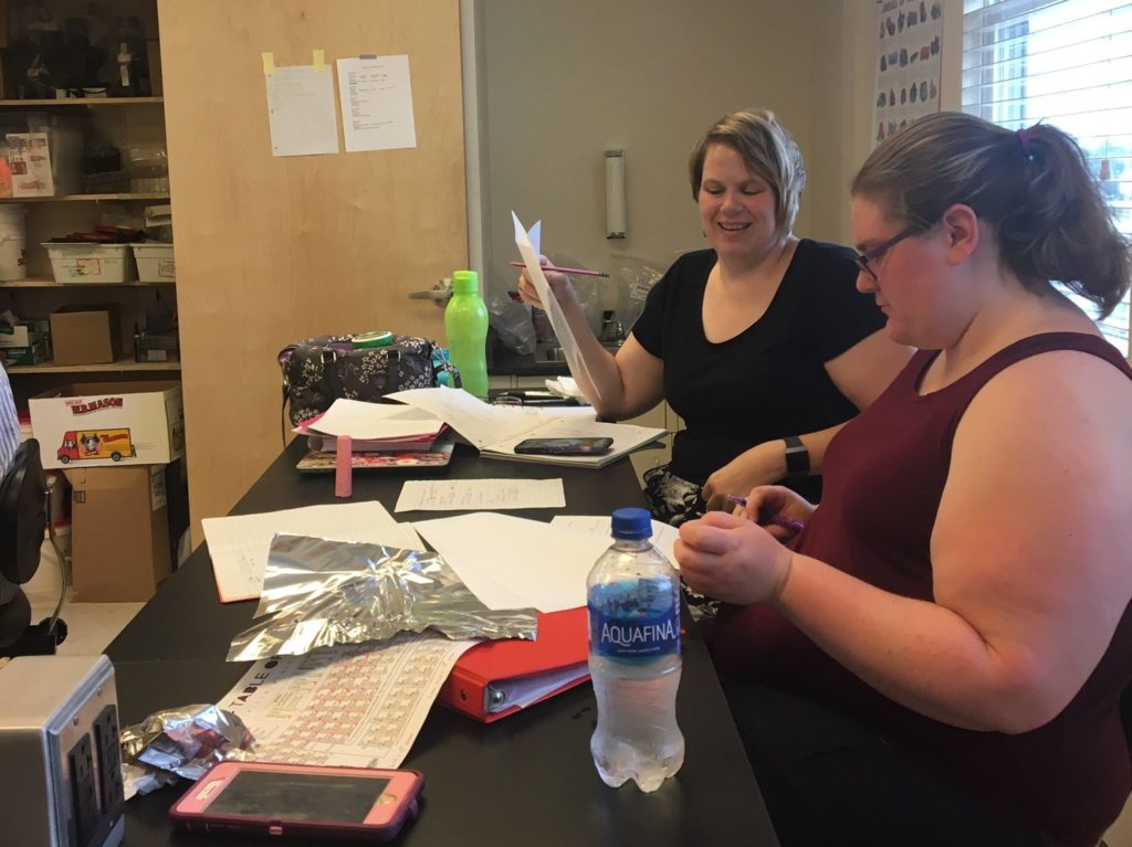 RSU13 Adult and Community Education image #863