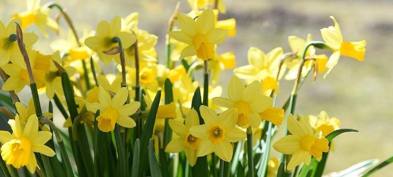 RSU13 Adult and Community Education image #1048