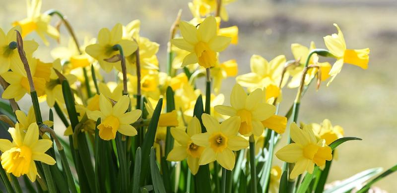 RSU13 Adult and Community Education image #1048